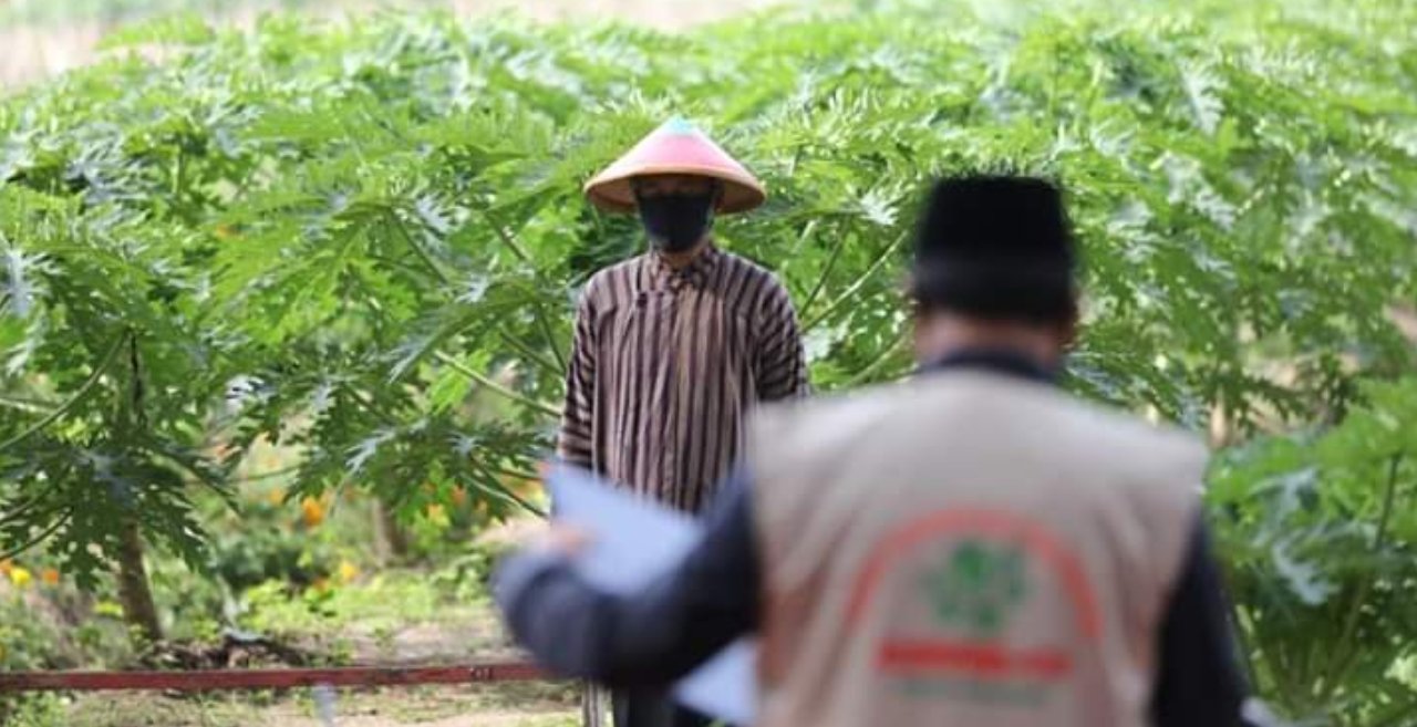 Pandemi COVID-19, Wali Kota Madiun Lantik 16 Kasek di Areal Perkebunan